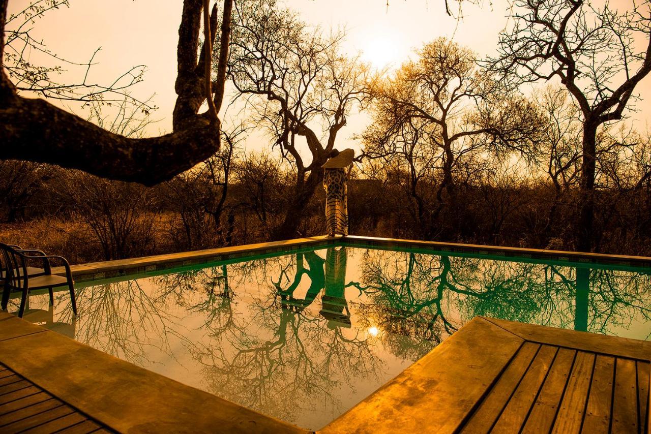 Safari Moon Luxury Bush Lodge Hoedspruit Exterior foto