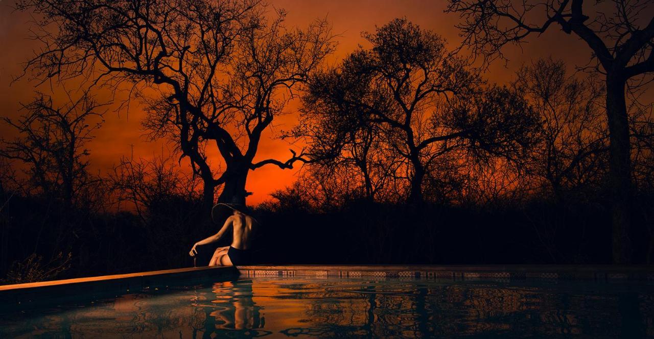 Safari Moon Luxury Bush Lodge Hoedspruit Exterior foto